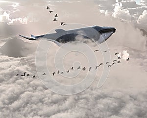 Surreal Flying Whale, Birds, Sky