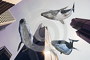 Irreal volador ballenas la ciudad edificios 