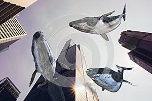 Surreal Flying Whales, City Buildings