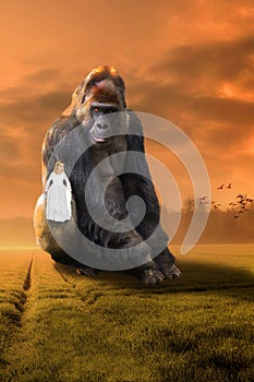 Surreal Gorilla, Girl, Imagination, Nature, Wildlife