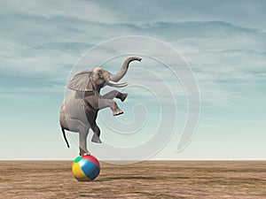 Surreal image of an elefant balancing