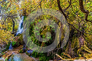 A Surreal Image of the Picturesque Gorman Falls in Texas. photo