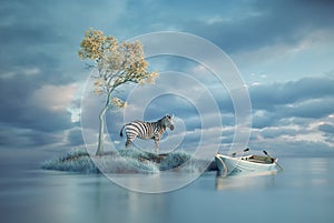 Surreal image of a zebra on a small island and a boat. Explore and aspiration concept