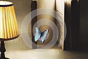 Surreal and imaginative moment of a butterfly entering the pages of a book for a new story