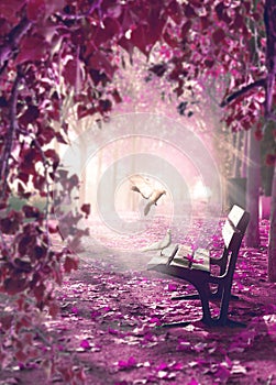 Surreal landscape.Fantasy space in park and wood bench with white doves