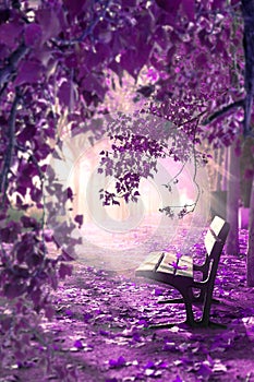 Surreal landscape.Fantasy space in park and wood bench with white doves