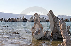 Surreal landscape of Mono Lake, California