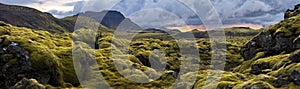 Surreal landscape with wooly moss at sunset in Iceland