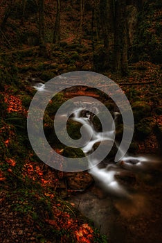 Surreal long exposure of a small creek in a dark forest