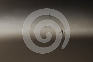 Surreal man runs free among nature