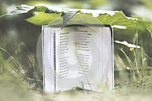 Surreal moment of a small book that protects itself under a large leaf from the rain