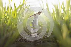 moment of a young woman relaxing in the midst of gigantic grass photo