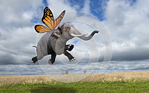 Surreal Monarch Butterfly Wings Elephant