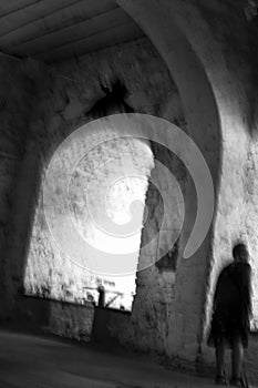 Surreal motion blur image of unrecognizable woman standing in an old room with a raven flying