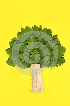 Surreal Oak Tree Eco Freindly Go Green Symbol