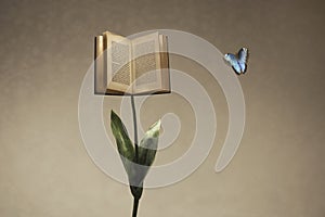 Surreal open book supported by a flower stem meets a coloratedl butterfly photo