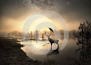 Surreal photo of a deer in a lake