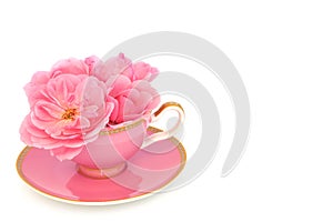 Surreal Rose Flower Tea Cup Arrangement