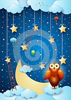 Surreal sky by night with owl and ladders