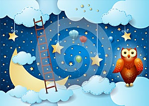Surreal sky by night with stairway and owl
