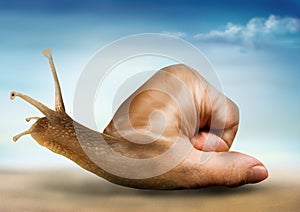 Surreal snail