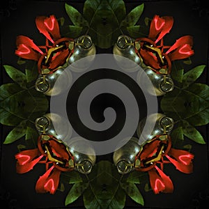 Surreal square pattern - red roses on a black background