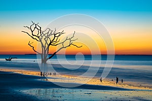 Surreal sunrise at Botany Bay photo