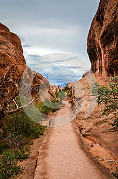 Surreal Trail - Arches National Park - Moab, Utah