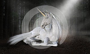 Surreal Unicorn, Fantasy, Nature, Horse, Woods, Forest
