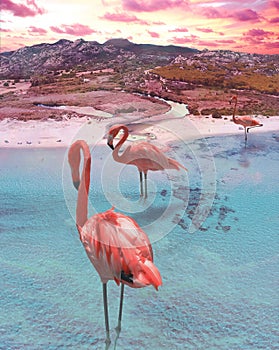 Surreal visionary image, bird`s eye view of a sea landscape with a river mouth and green meadow, big pink flamingos, Berchida,