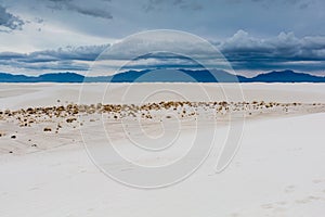 Surreal White Sands of New Mexico with Mountains in the Distance