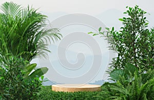 Surreal wood podium with tropical forest plant blur blue sky montains landscape nature background.Product present natural