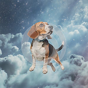 a surrealist illustration of a beagle in the clouds 2