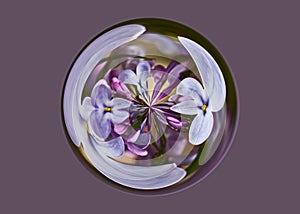 Surrealist lilac purple floral circle design