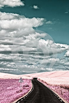 Surrealistic landscape in infra red color photo