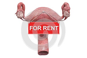 Surrogacy concept. Female uterus with For Rent hanging sign, 3D rendering