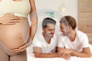 Surrogacy concept. Young pregnant woman and blurred view of happy gay couple indoors photo