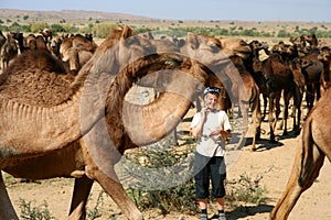 Surrounded by camels