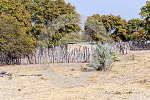 Surrounding area of maun in Botswana