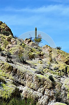 Butcher Jones Beach Arizona, Tonto National Forest