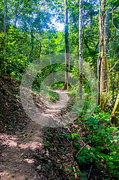 Surroundings close to village of Kogi people