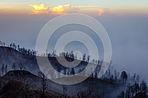 Surroundings of Ijen volcano. Trees through fog and sulfur smoke. Banyuwangi Regency of East Java, Indonesia.