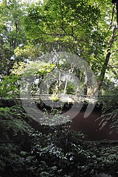 Surrounds Walal of the Liuhe Pagoda or Six Harmonies Pagoda in Hangzhou photo
