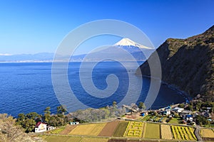 Suruga Bay and Mt. Fuji