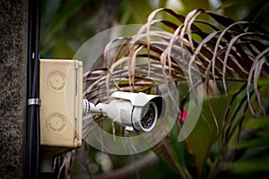 A surveillance camera control on an electric pole in the garden, CCTV technology