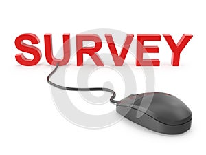 Survey with Computer Mouse