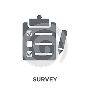 Survey icon from collection.