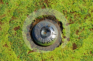 A survey point for land surveying. photo