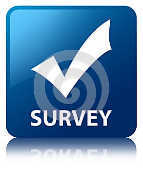 Survey (validate icon) blue square button photo