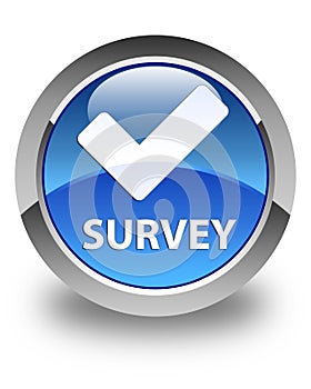 Survey (validate icon) glossy blue round button photo